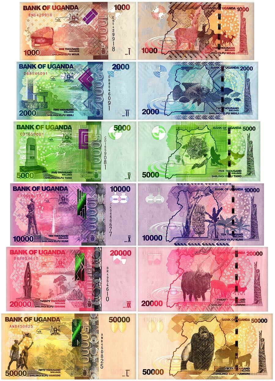 Micro Finance (MDI) / SACCO